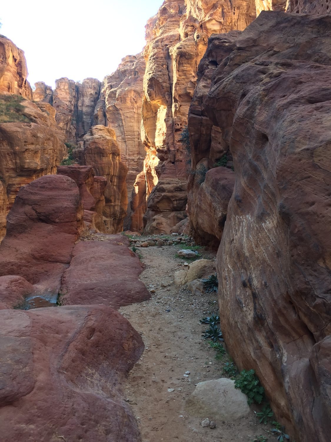 The Siq, the red-rock gorge leading into Petra.