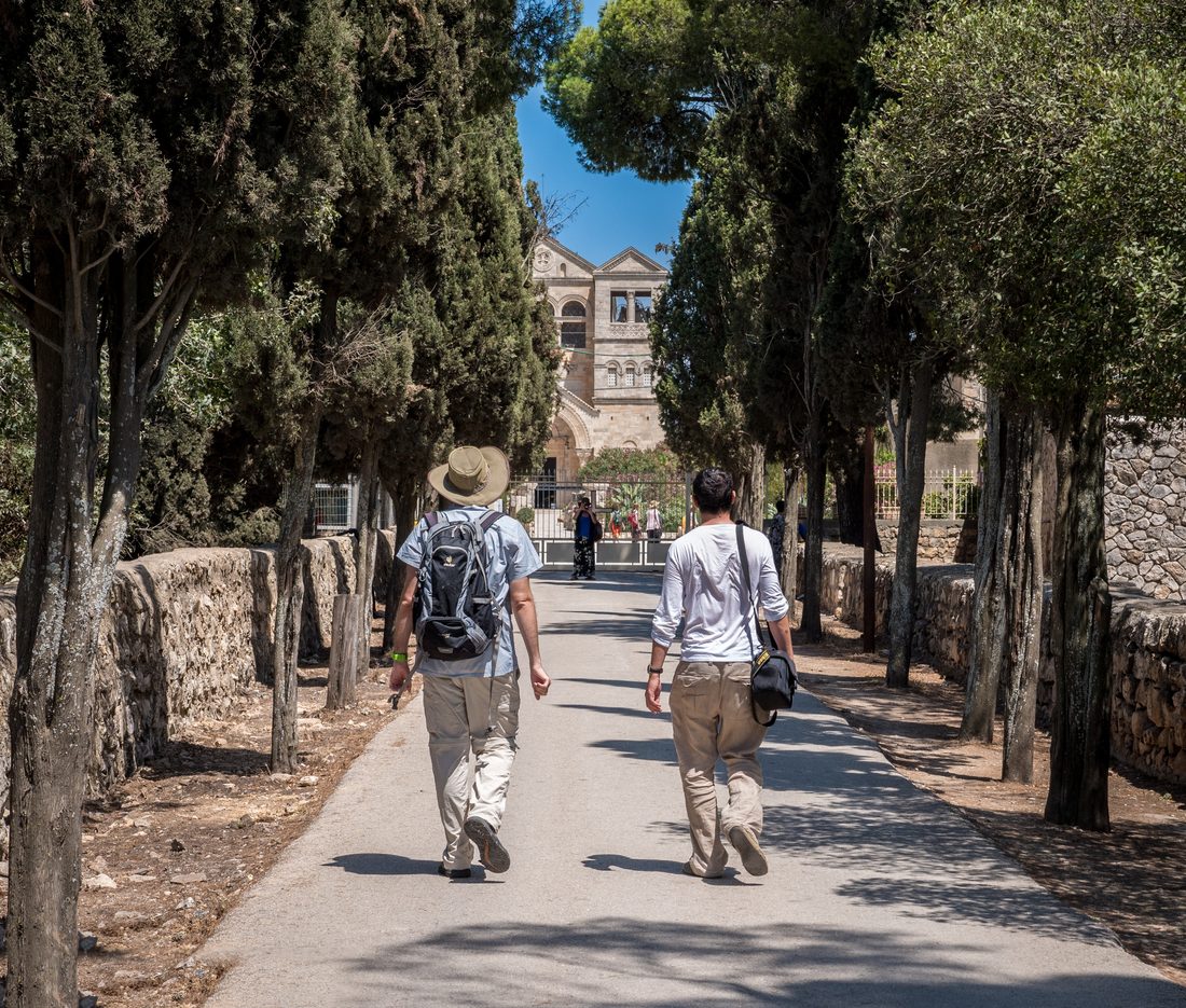 Pilgrims walking the cypress avenue to the Church of the Transfiguration on Mount Tabor
