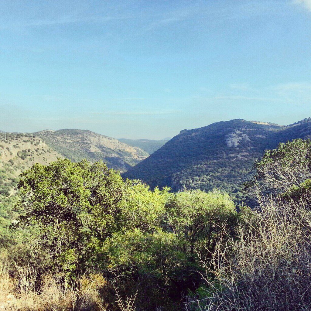 View from South bank of Nachal Kziv