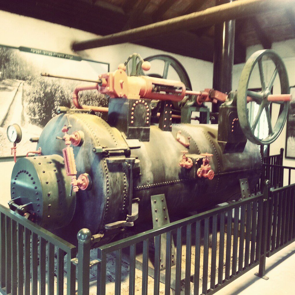 Steam Powered Water Pump at Cheftzi-ba Farm