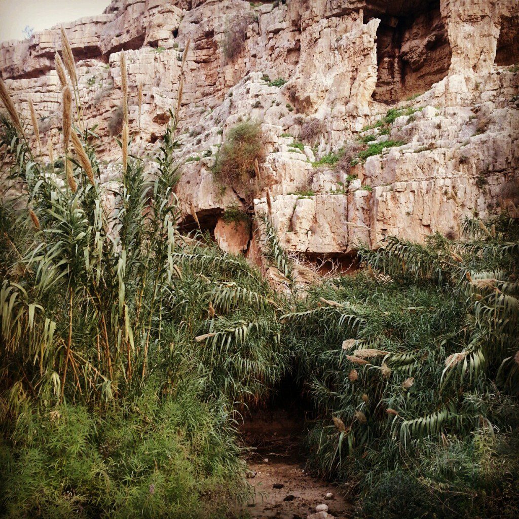 Remnants of Hasmonean Aqueducts at Ein Mabua