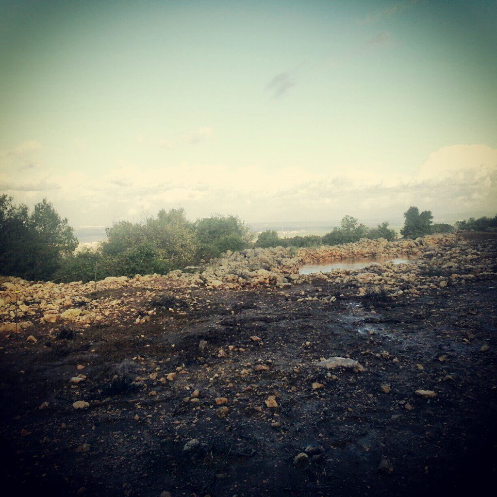 El Ahwat