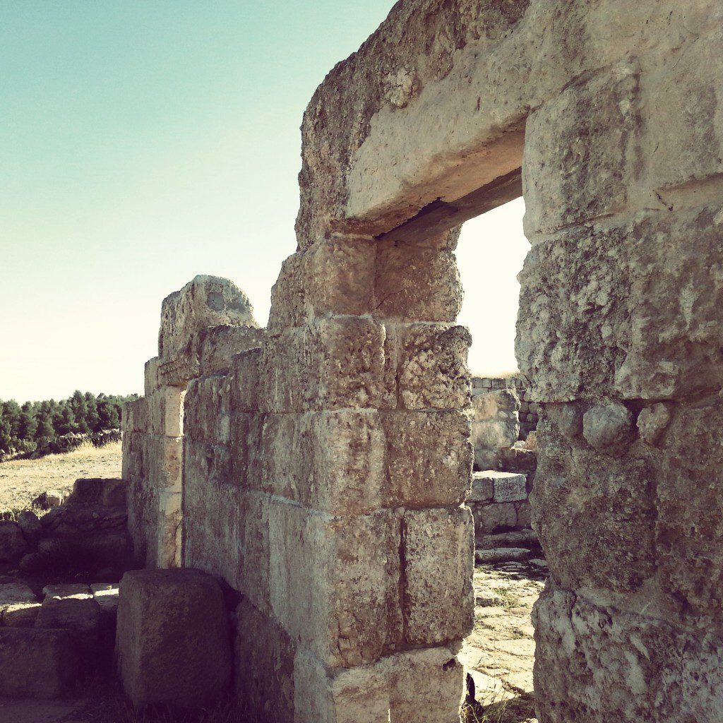 Byzantine era synagogue at Anim