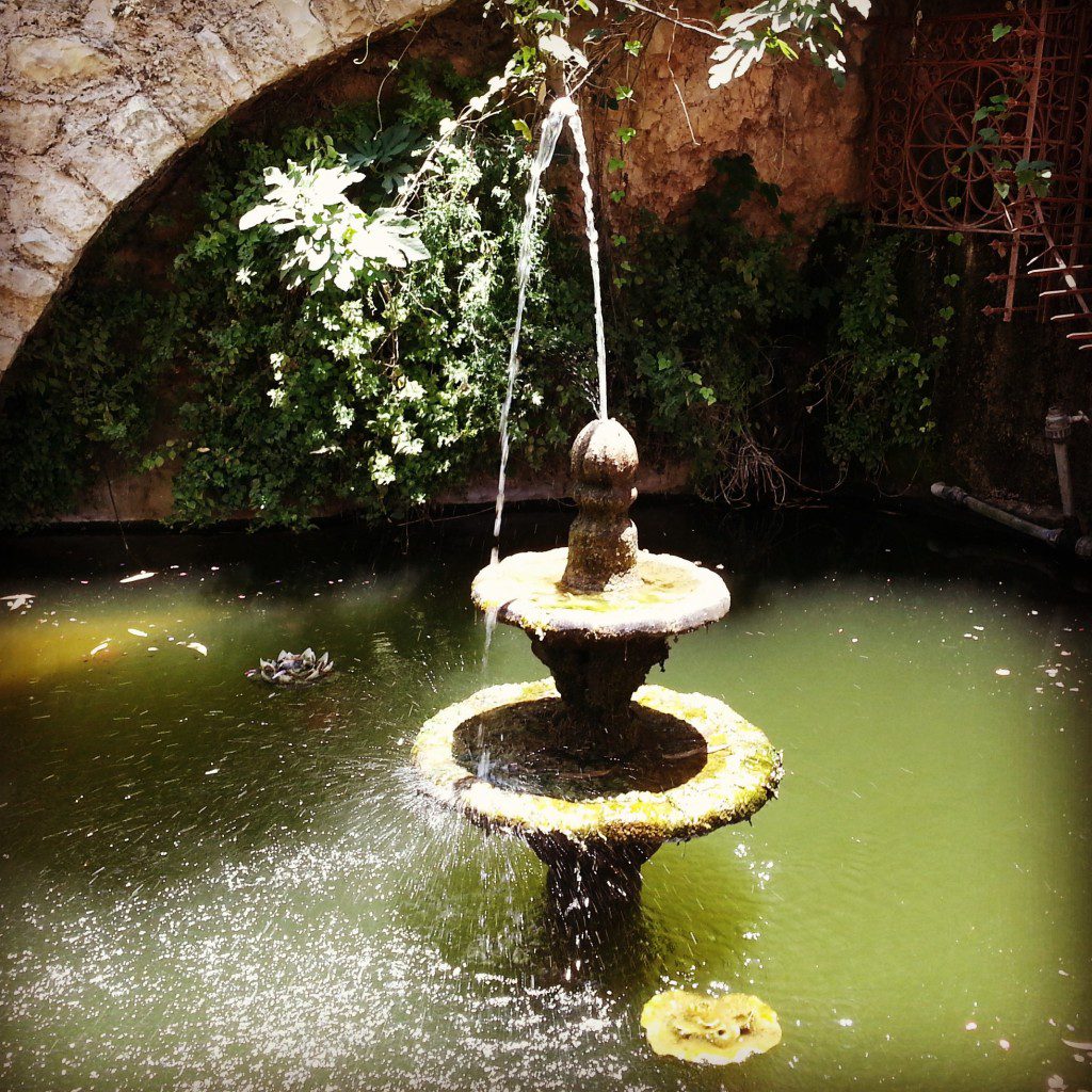 Spring at St John in the Desert, Even Sapir