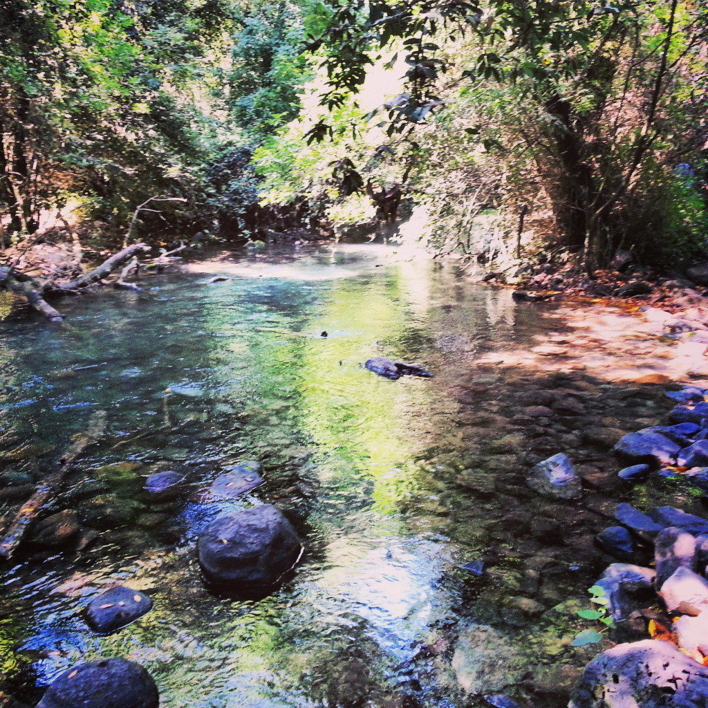 Tel Dan hike