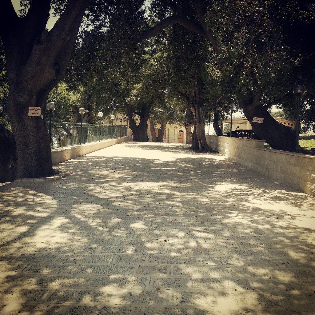 Nabi Hazuri