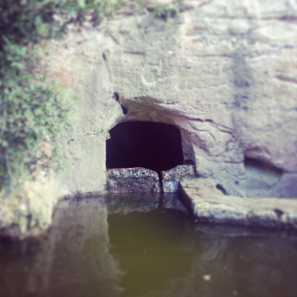Water pool at Ein Meshotetim in Nachal / Wadi Siach