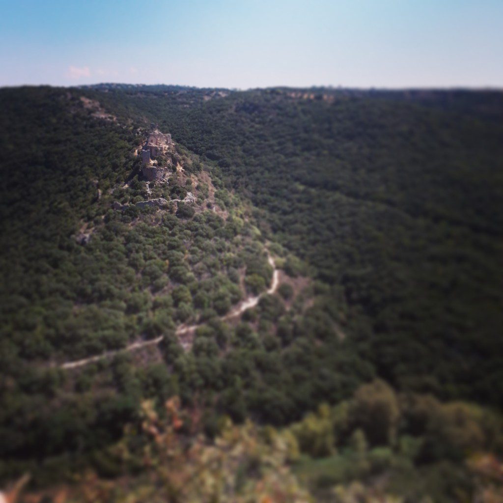 View over Montfort castle from Goren Park