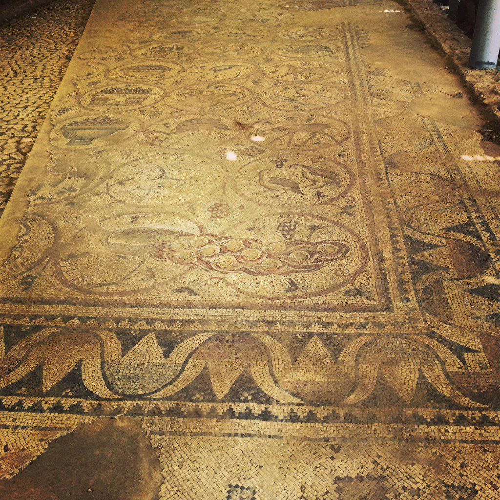 Maon Synagogue Mosaic