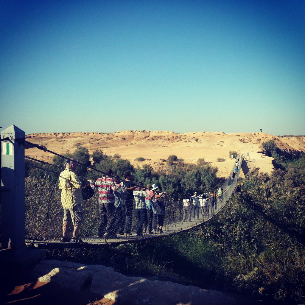 Hanging Bridge over Nachal Besor