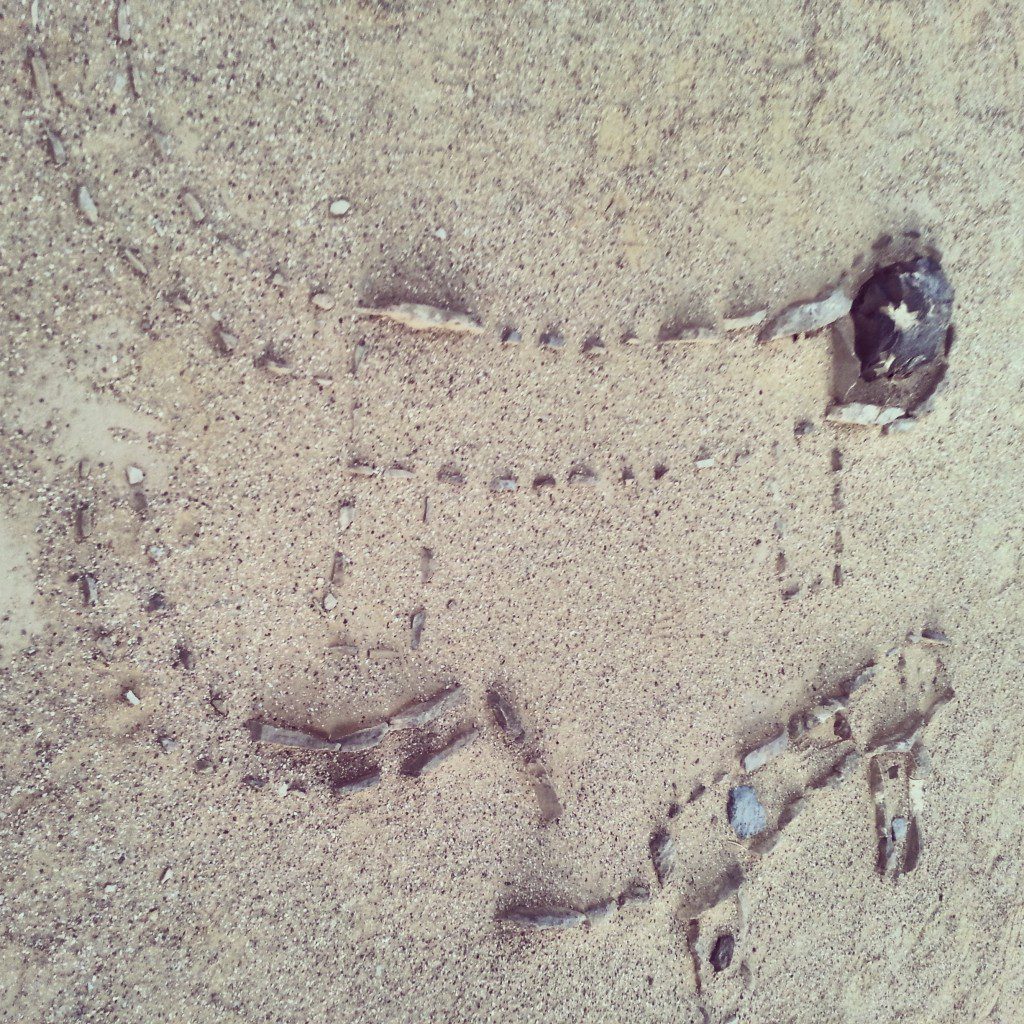 Ancient leopard images at the Leopards Temple in the Ovda Valley