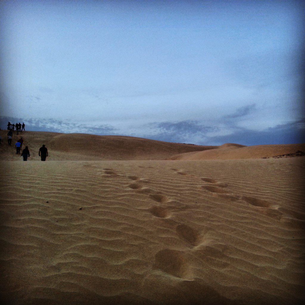 Kasui sand dunes in the Ovda Valley
