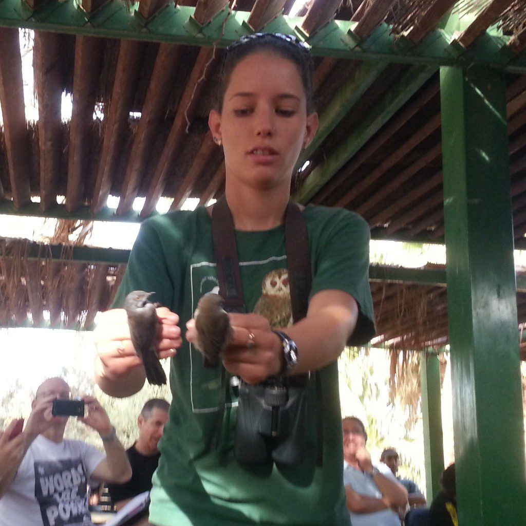 Our guide shows us some migrating birds in the Eilat Bird Park