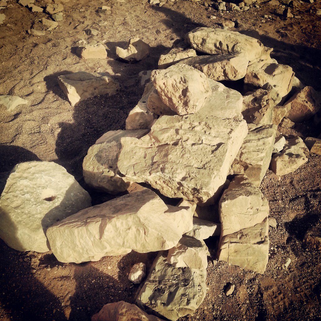 Ancient predator trap