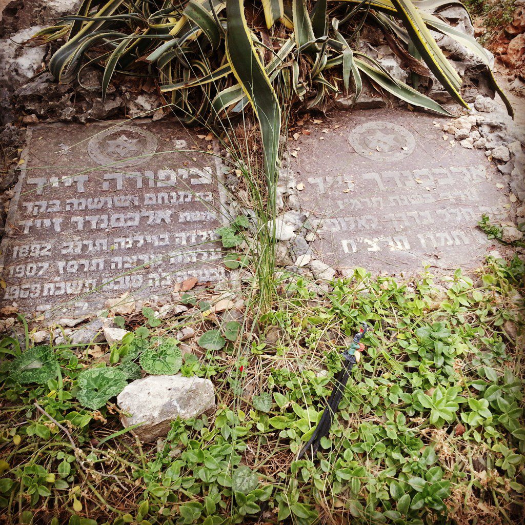 Grave of Alexander Zaid