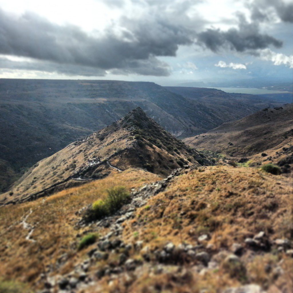View over Gamla