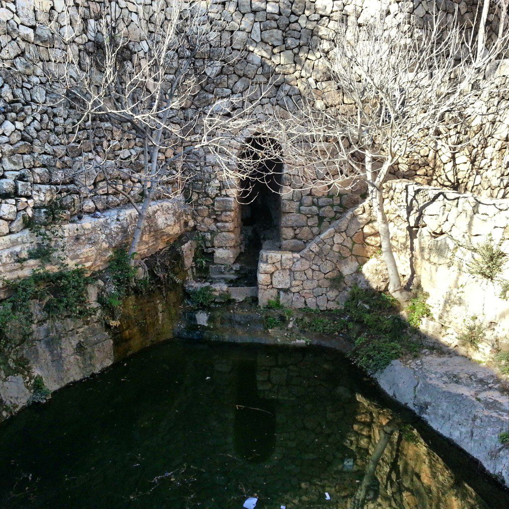Bikura Spring at the Sataf Park
