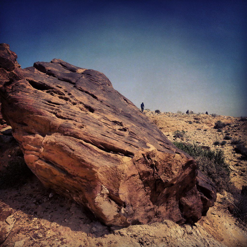 Fossilised / Petrified trees in the Large Crater (HaMakhtesh HaGadol)