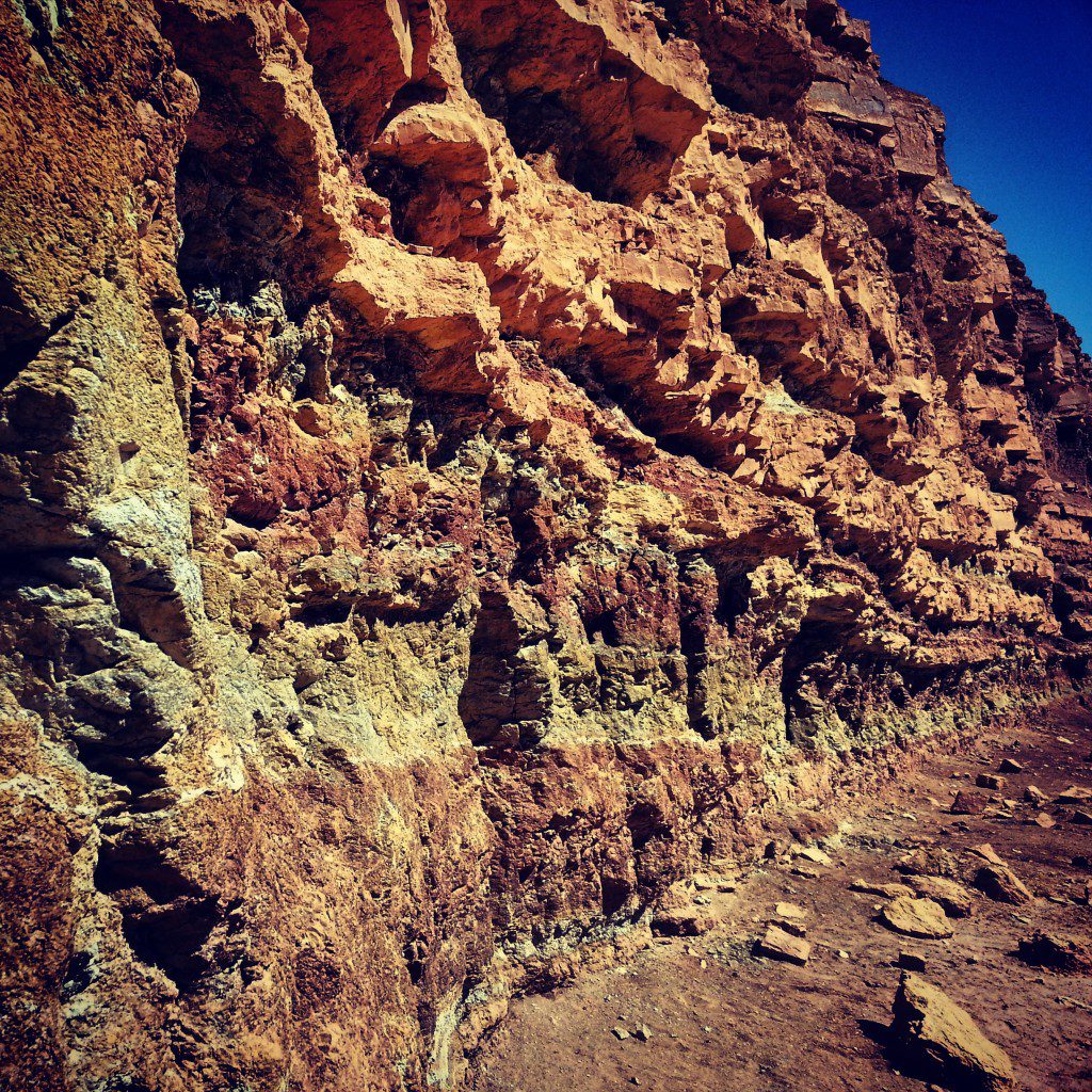 Dykes in Nachal Ardon