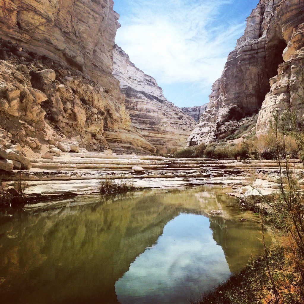 Hiking Ein Avdat