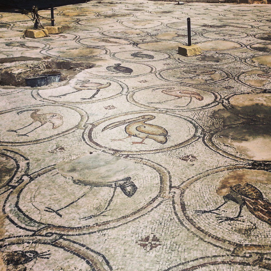 The 'birds' mosaic at Caesarea