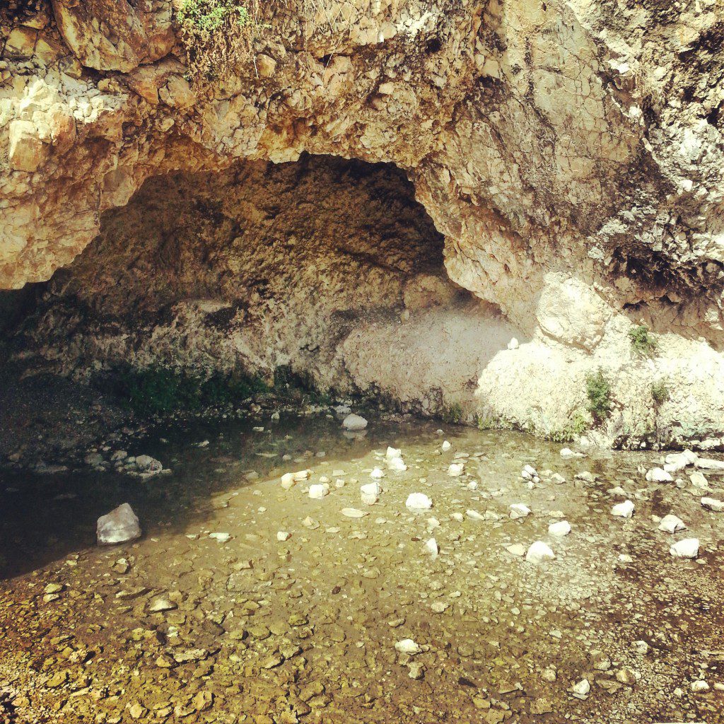The Harod Spring