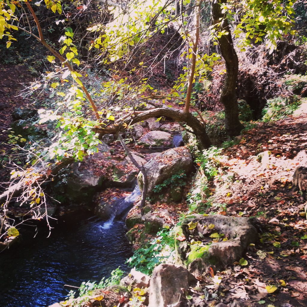 Nachal Amud