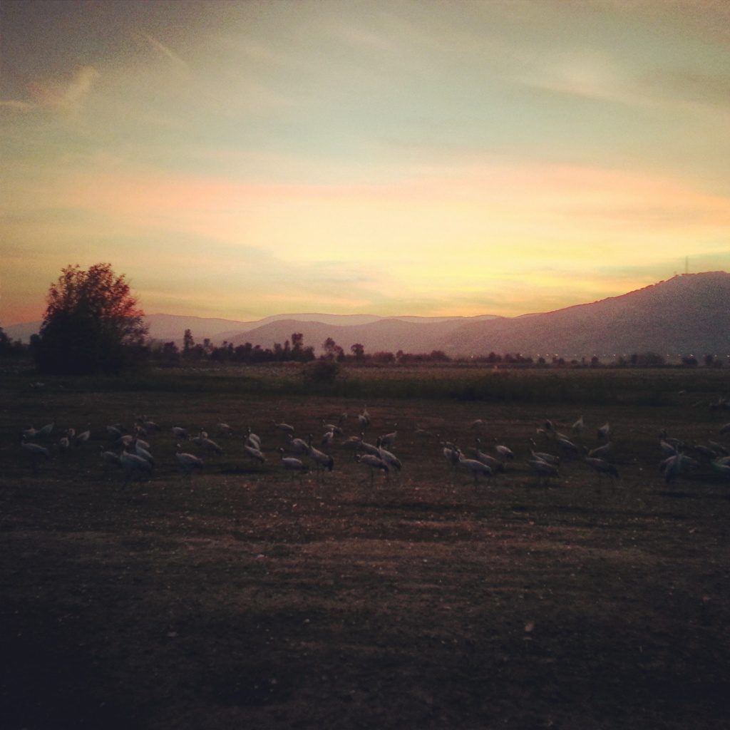 Sunset over the Hula and its cranes