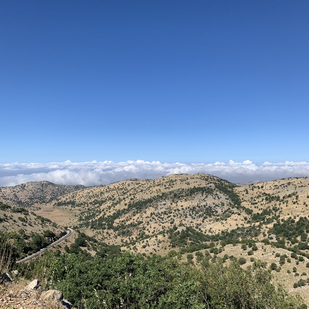 View looking out westwards from Mt Hermon