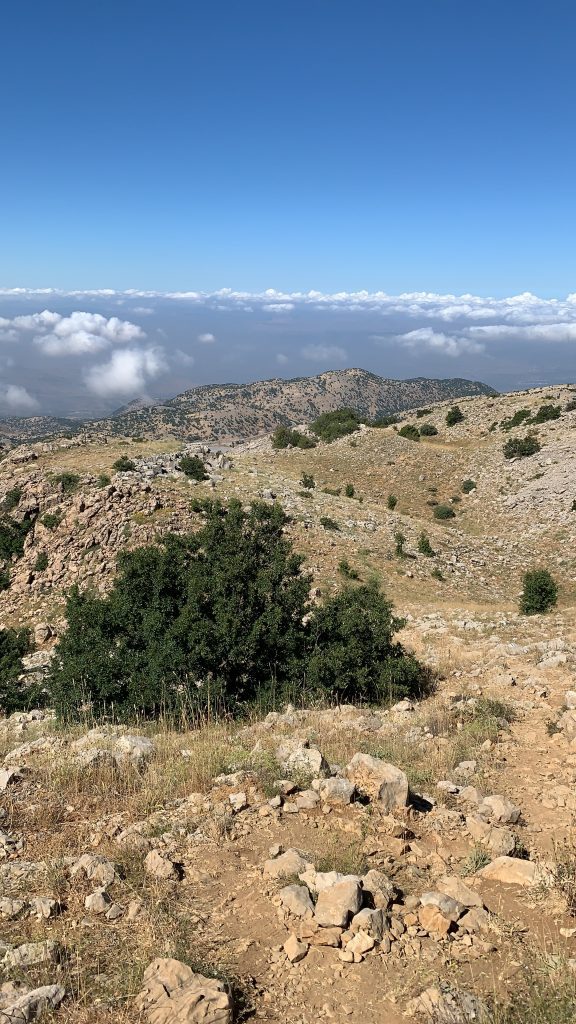 View from the peak of the Hermon Mountain
