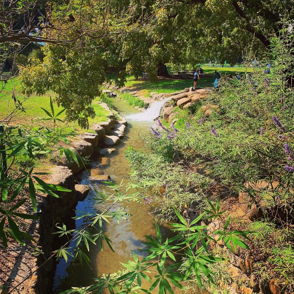 A stream flows through Hurshat Tal National Park in the Hula Valley