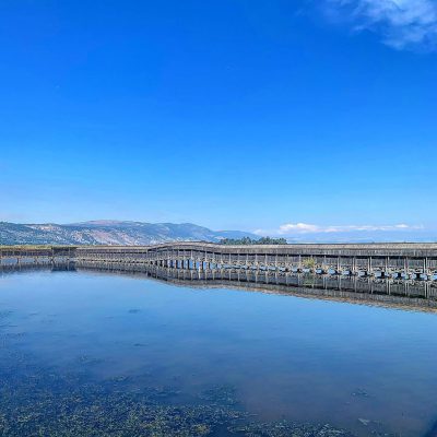Open water and wetlands at the Hula Valley nature reserve in northern Israel