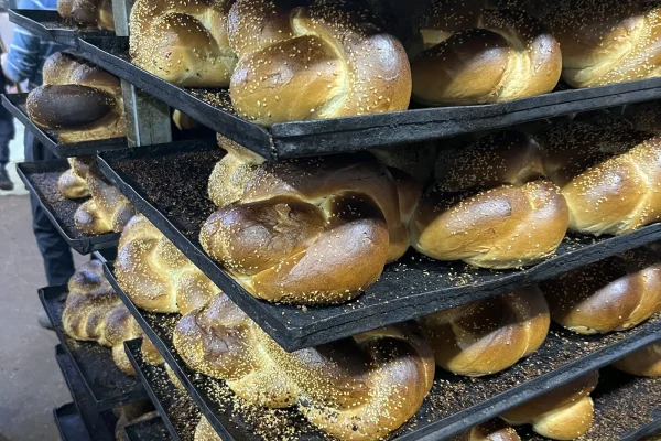Trays of freshly baked sesame challah loaves stacked on black bakery racks in Bnei Brak.